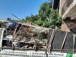 Professional Junk Removal Services in Pasadena, TX